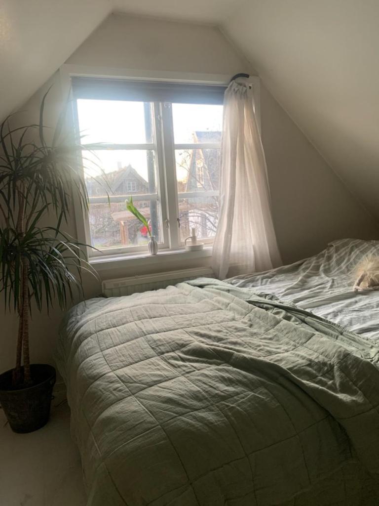 Millans Dockhus Villa Onslunda Dış mekan fotoğraf