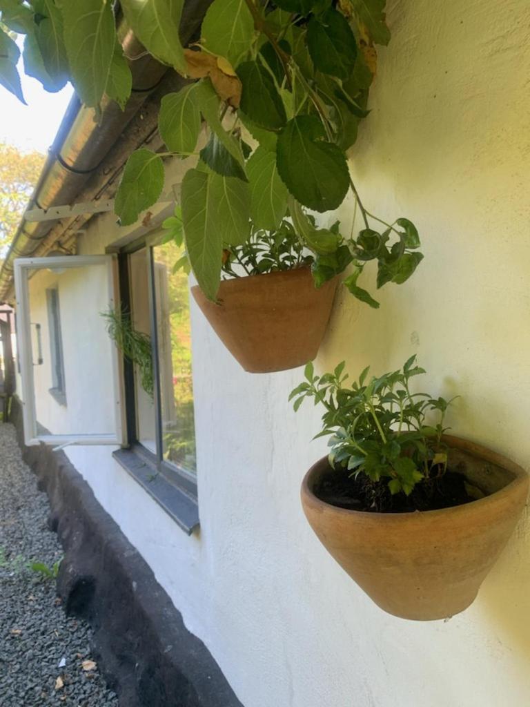 Millans Dockhus Villa Onslunda Dış mekan fotoğraf